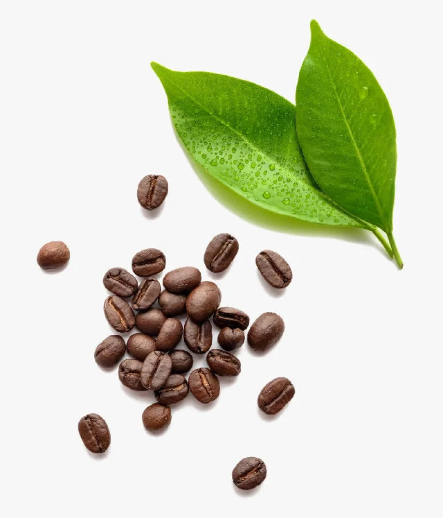image of Caffeine+ ingredients